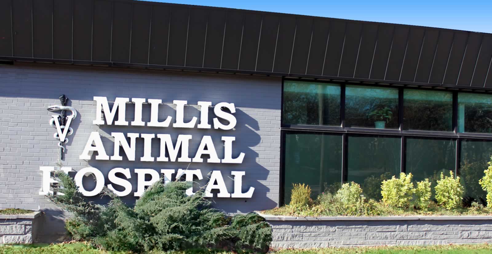 millis animal hospital on prior lake pet hospital urgent care