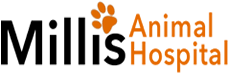 Millis animal hospital