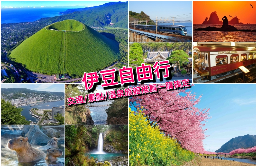 【靜岡伊豆自由行】一篇搞定伊豆交通/熱門景點/溫泉旅館，東京出發泡湯看海賞河津櫻