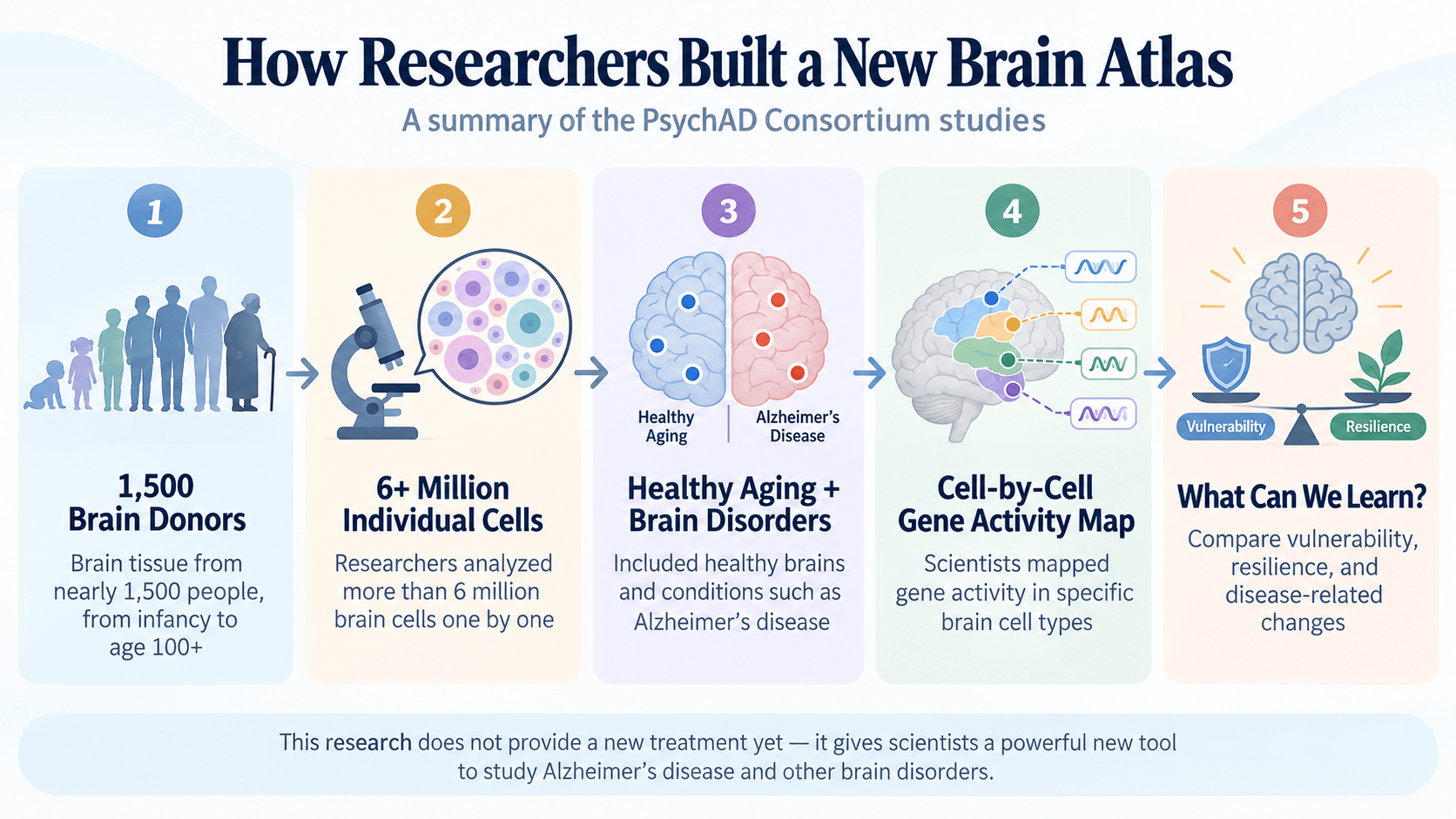 A New Map of the Human Brain Offers Clues to Alzheimer’s
