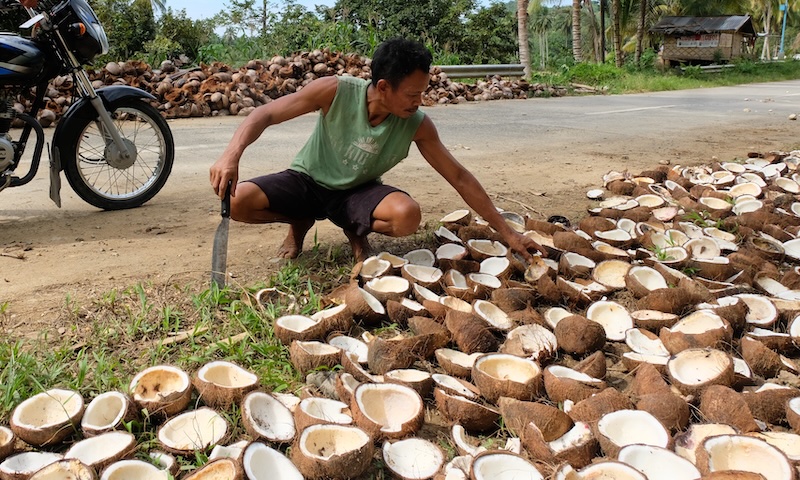 Region 12's Export Decline: What's Behind the $82.5 Million Drop? (2025)