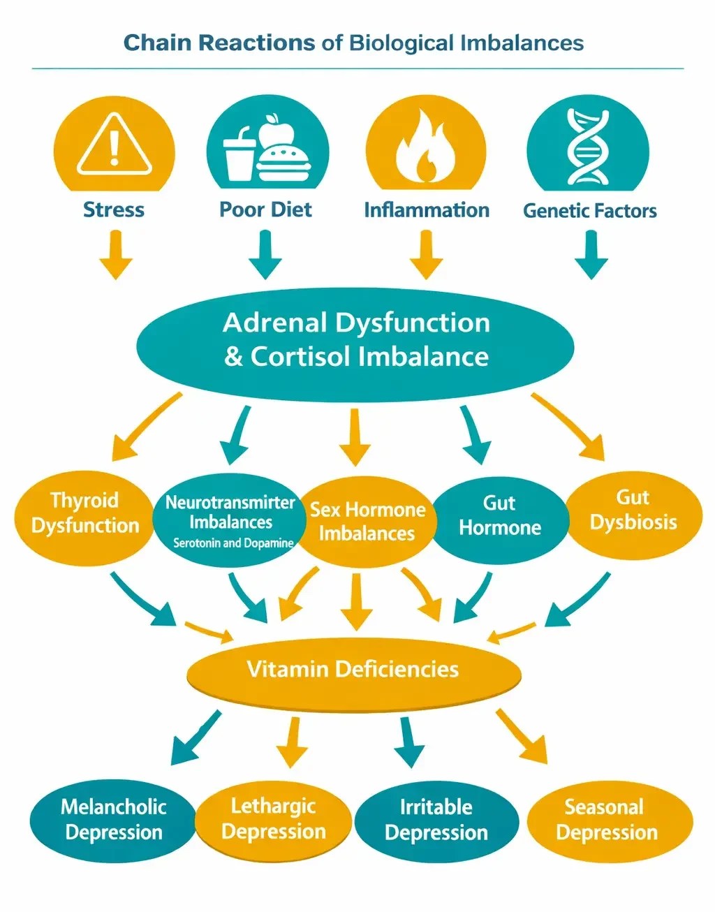 Flowchart showing how depression develops through chain reactions: stress, poor diet, inflammation, and genetics trigger adrenal dysfunction, which cascades to thyroid issues, neurotransmitter imbalances, hormone problems, and gut dysbiosis, ultimately leading to four types of depression, displayed in teal and gold brand colors