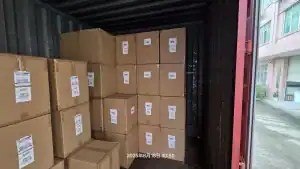 Cargo container loaded with labeled cartons for Amazon warehouse shipment