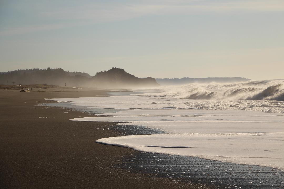 Consciousness and Dreams