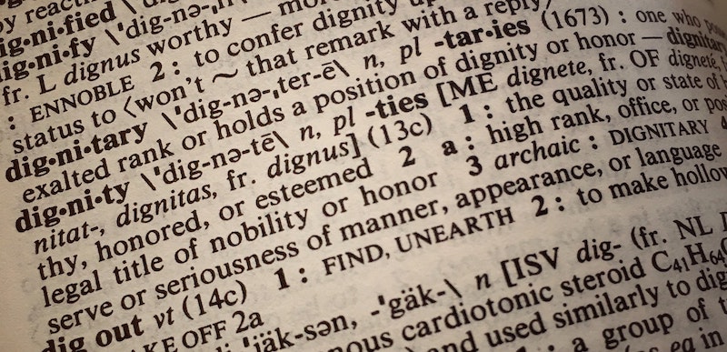 Dictionary - Dignity