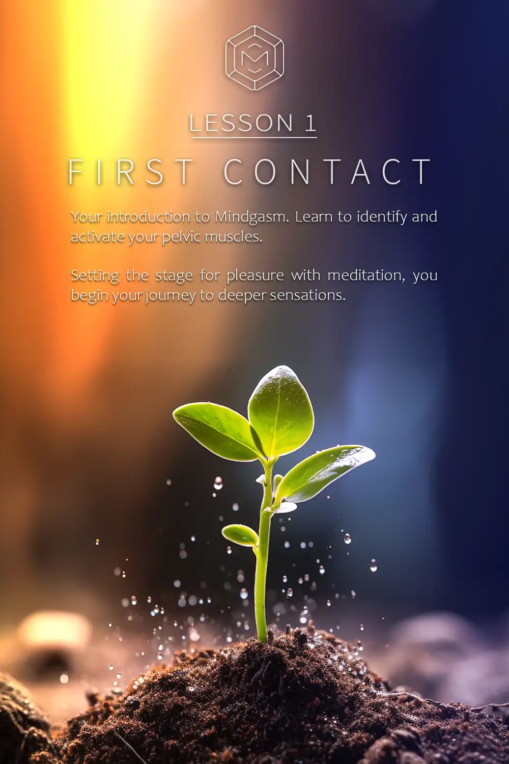 Aneros Guide - Mindgasm