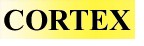cortex_title.jpg