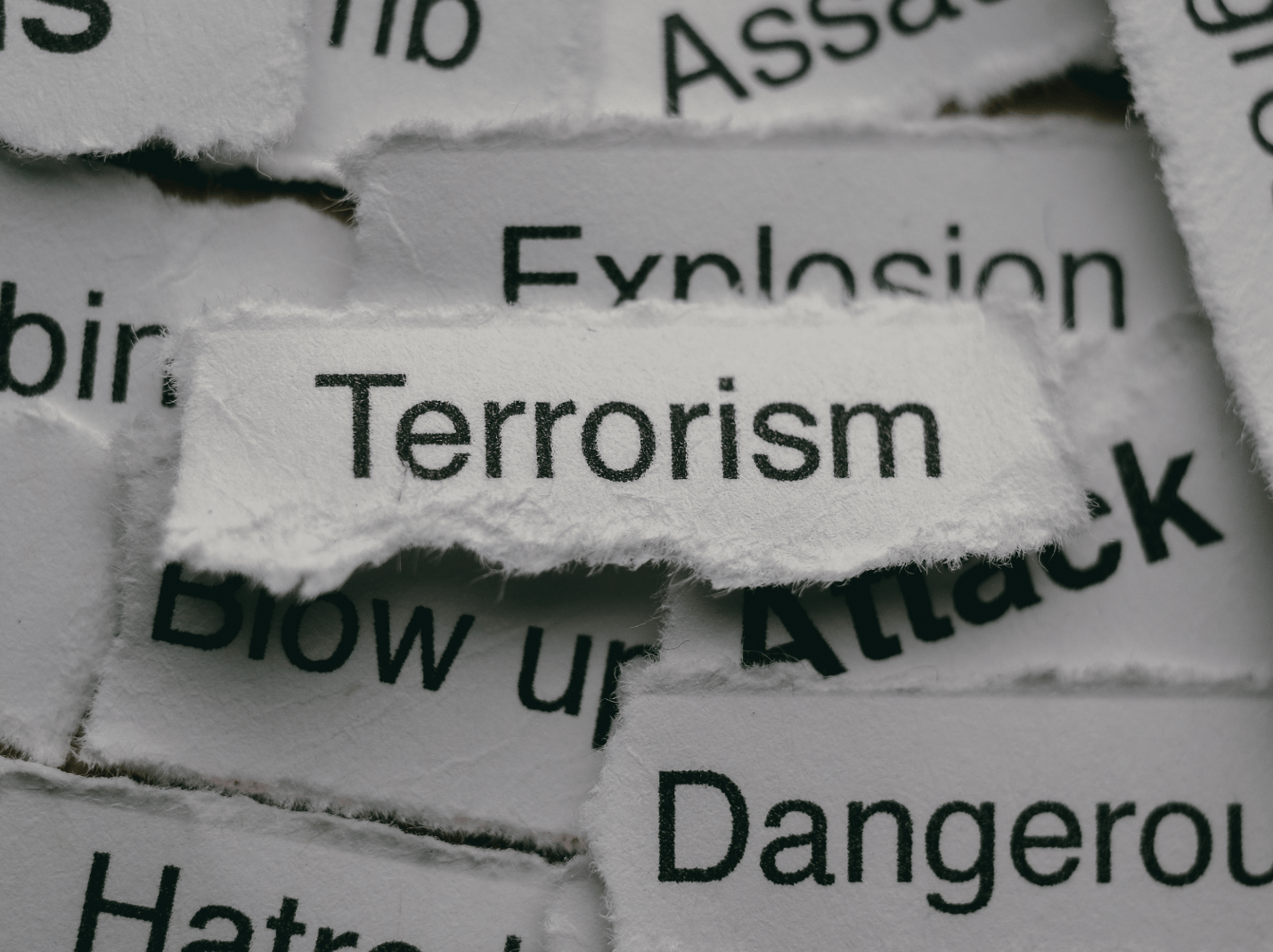 WATCH: Rethinking How Universities Study Terrorism
