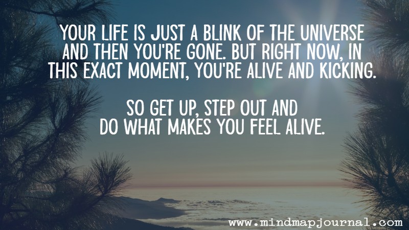 Your life is just a blink of the universe