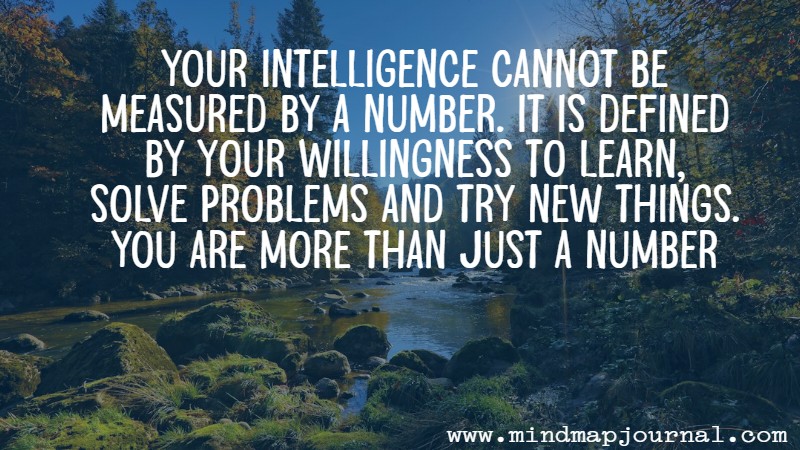 your_intelligence_cannot_be_measured_prof_feynman