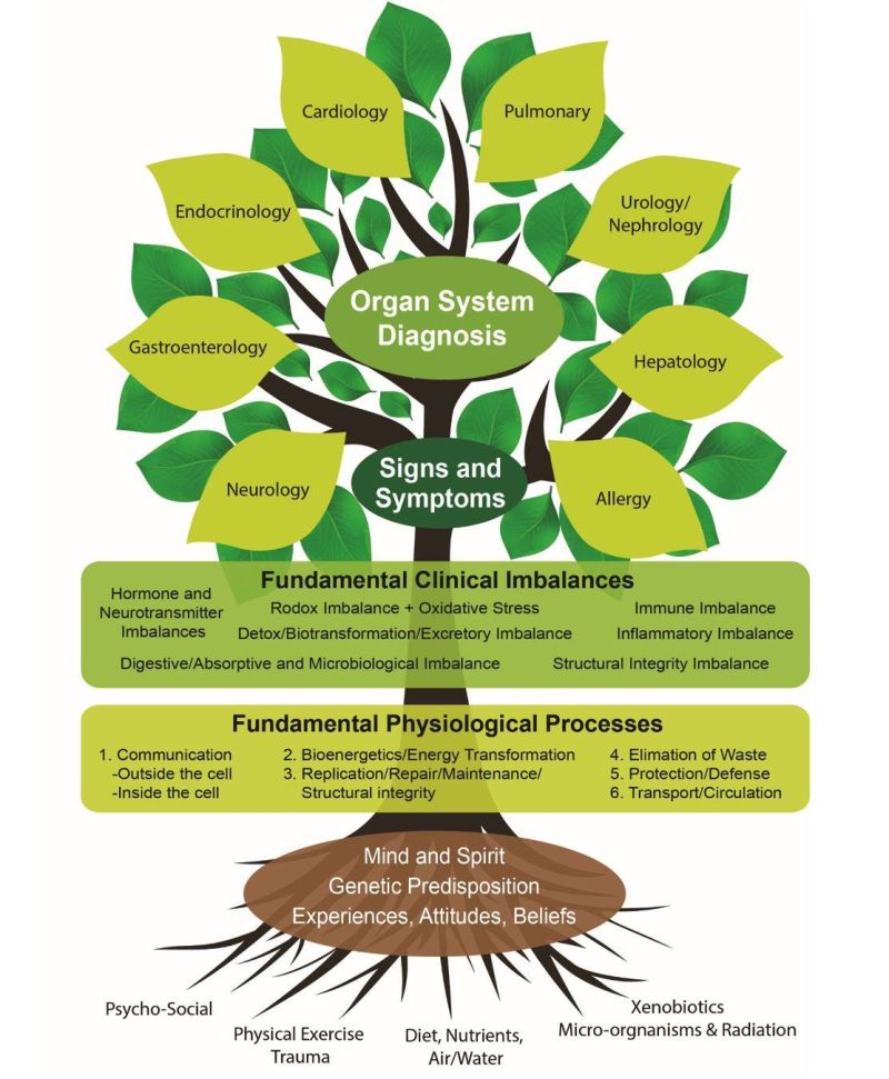 About James Gillard Osteopath - Best Mountain Arts in Full HD