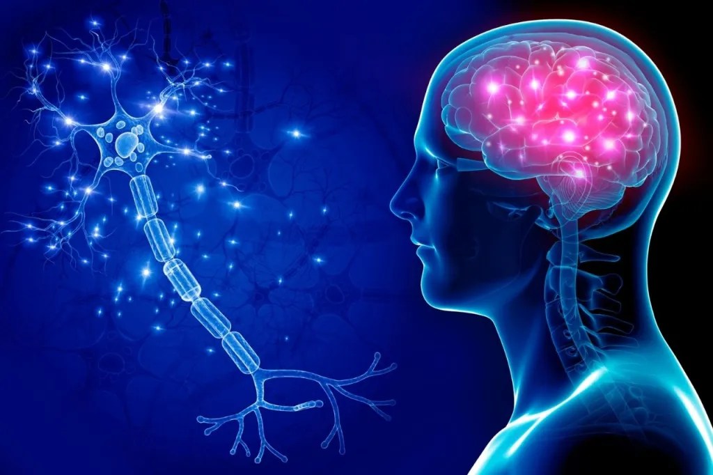 7 Thought Provoking Talks About Our Brains