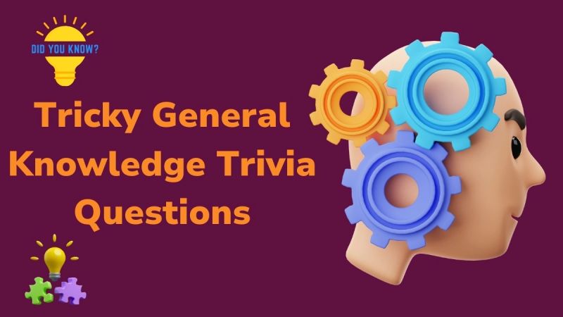 101 General Knowledge Trivia Questions To Test Your Stockpile Of - High Quality 4K Vintage Illustrations | Free Download