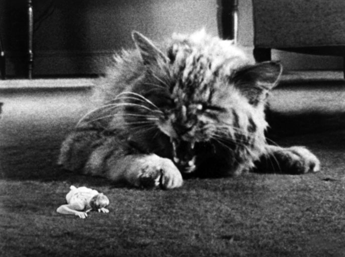 Not for his latest cinematic endeavor, but for his thoughts on marvel movies. The Incredible Shrinking Man 1957 The Mind Reels
