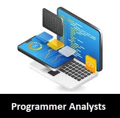Programmer Analysts