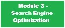 Module 3 - Search Engine Optimization Button
