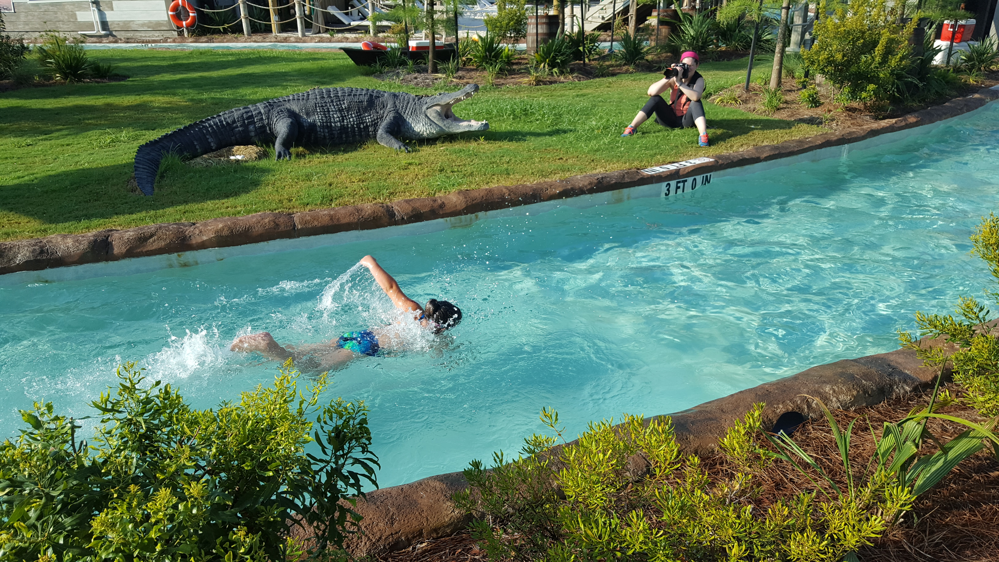 If that were a real alligator, Lizzy out swims it. 100%