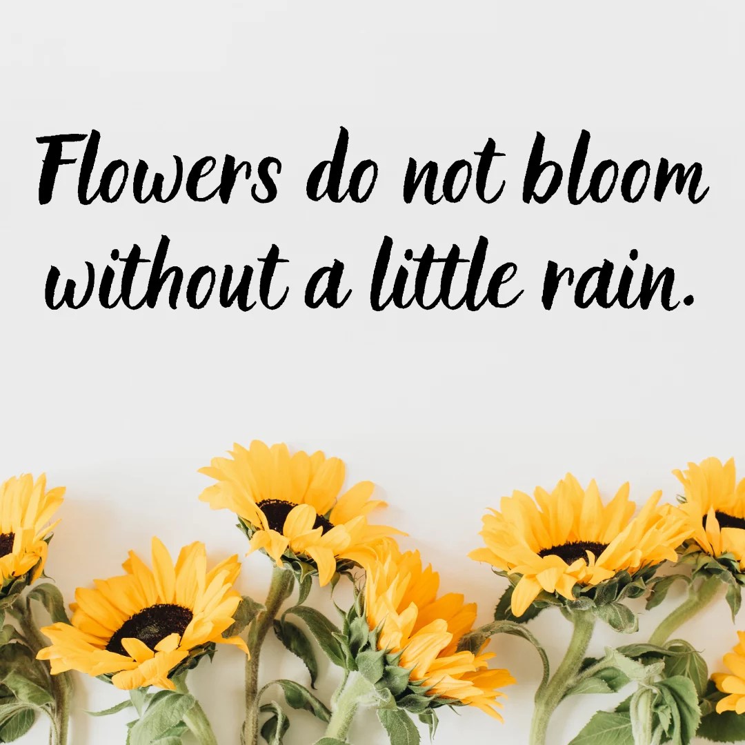Flowers do not bloom without a little rain. Mindset Made Better
