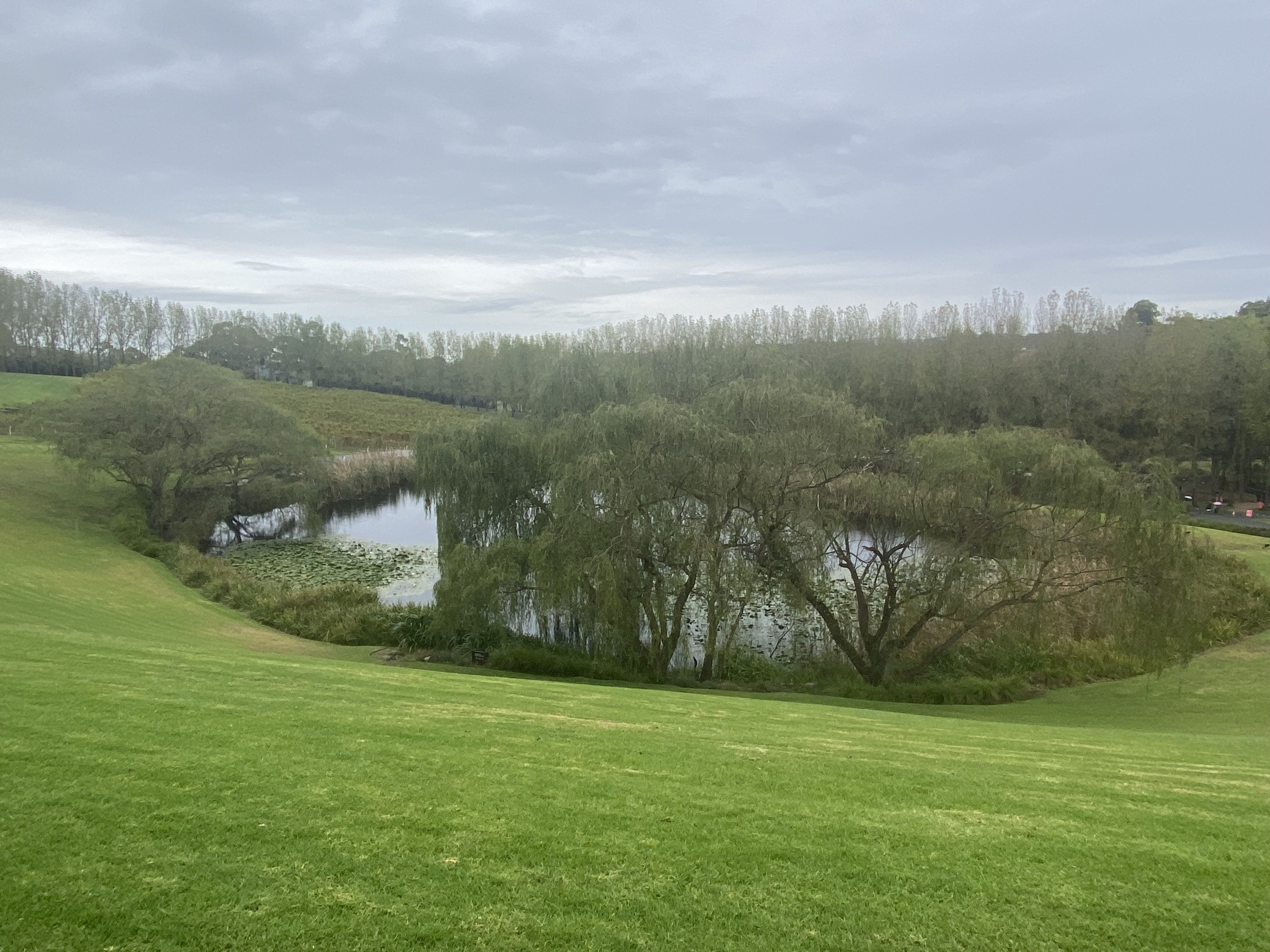 autumn view of the Yarra Valley