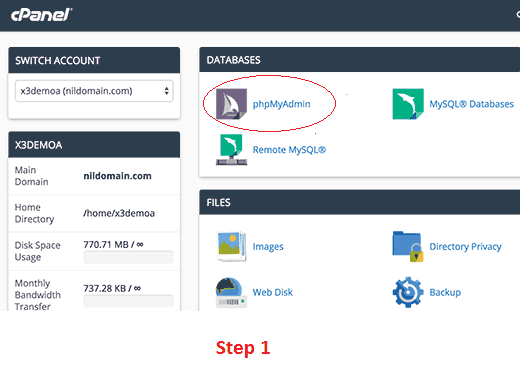 Access phpMyAdmin using cPanel