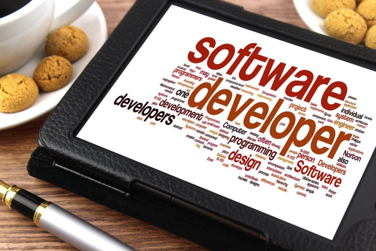 company's software development cost