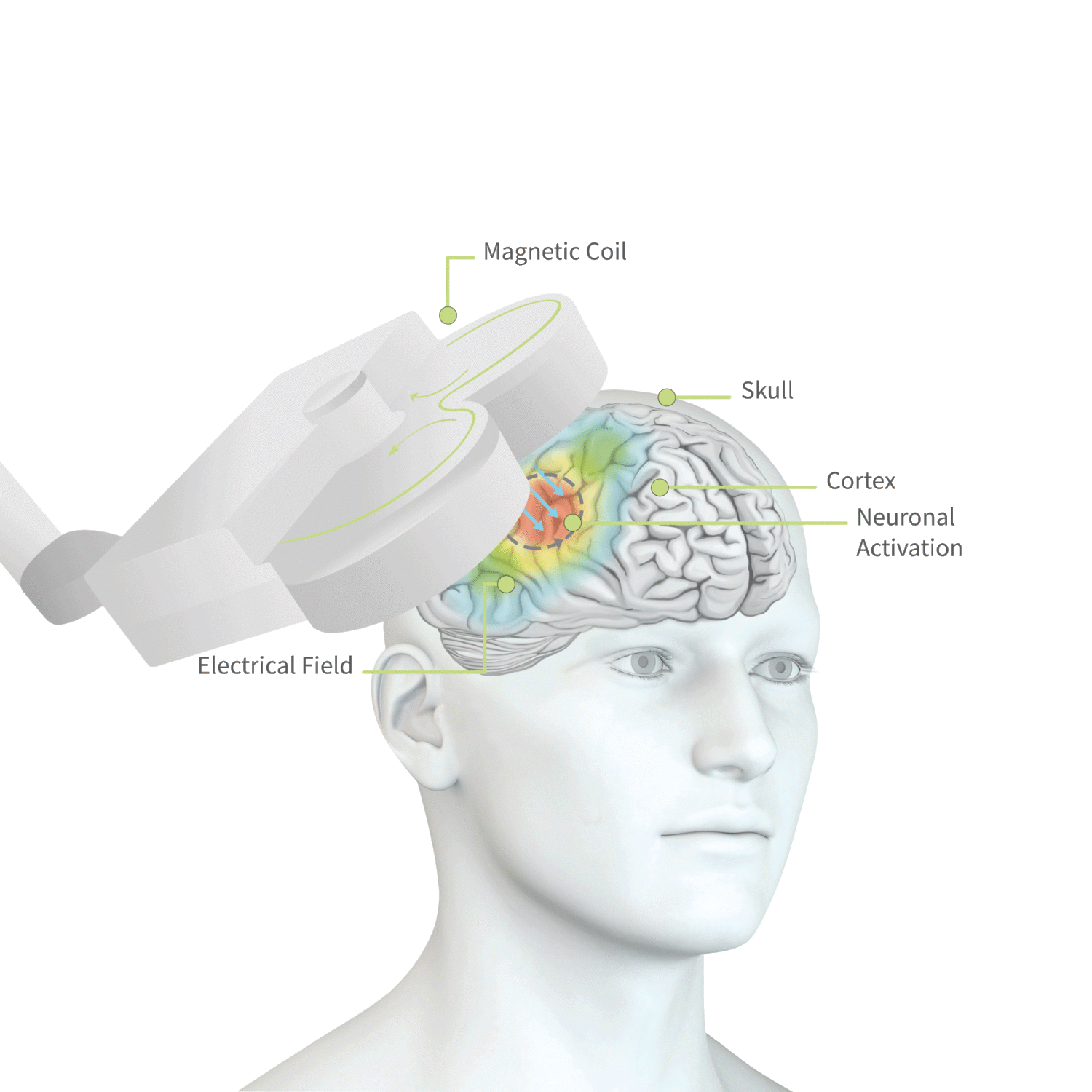 How does rTMS work? � Effectiveness, Side Effects, Benefits