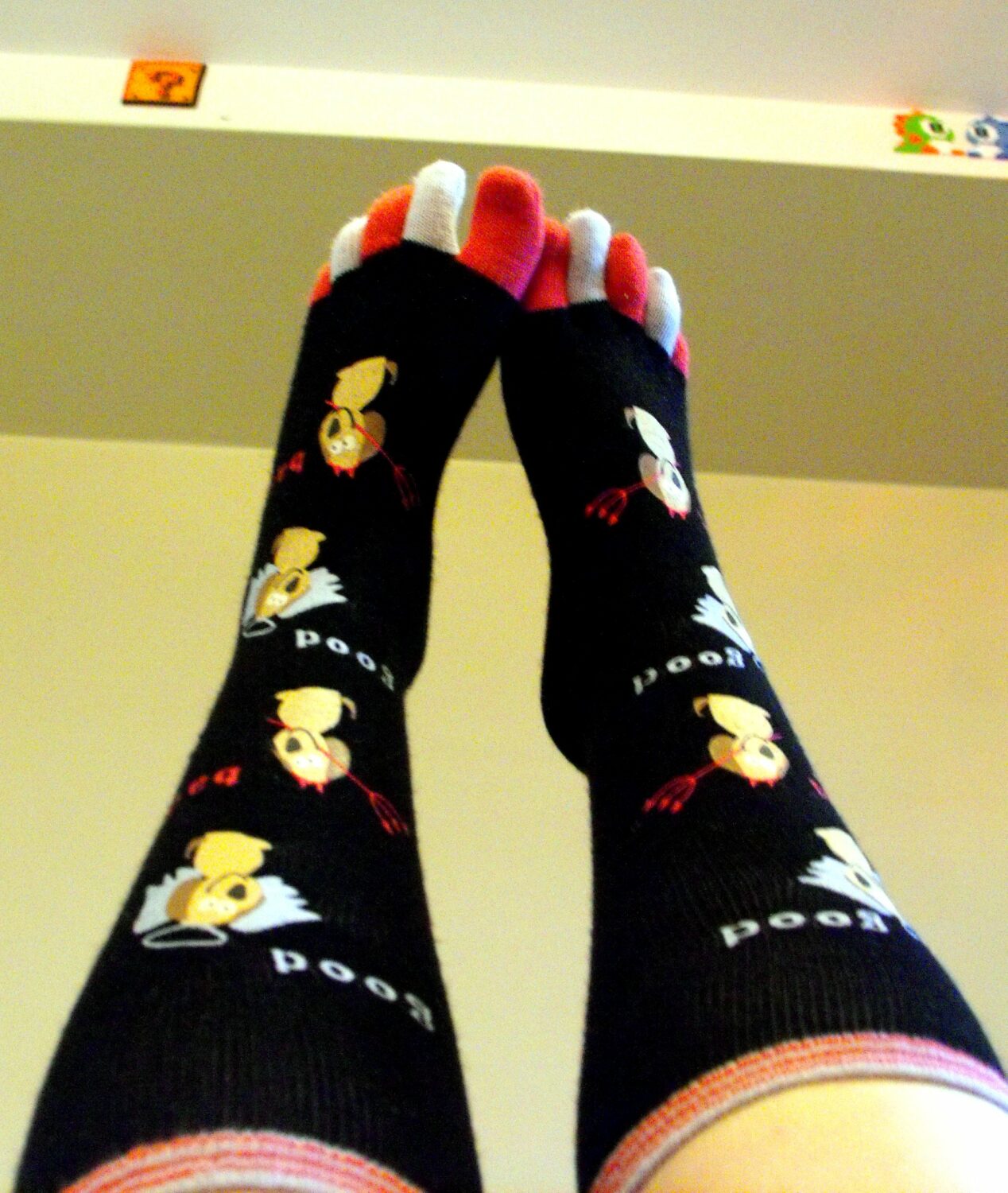 New programmer's Meme Socks