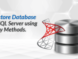 Restore Database In Sql Server Using Easy Methods Mindxmaster