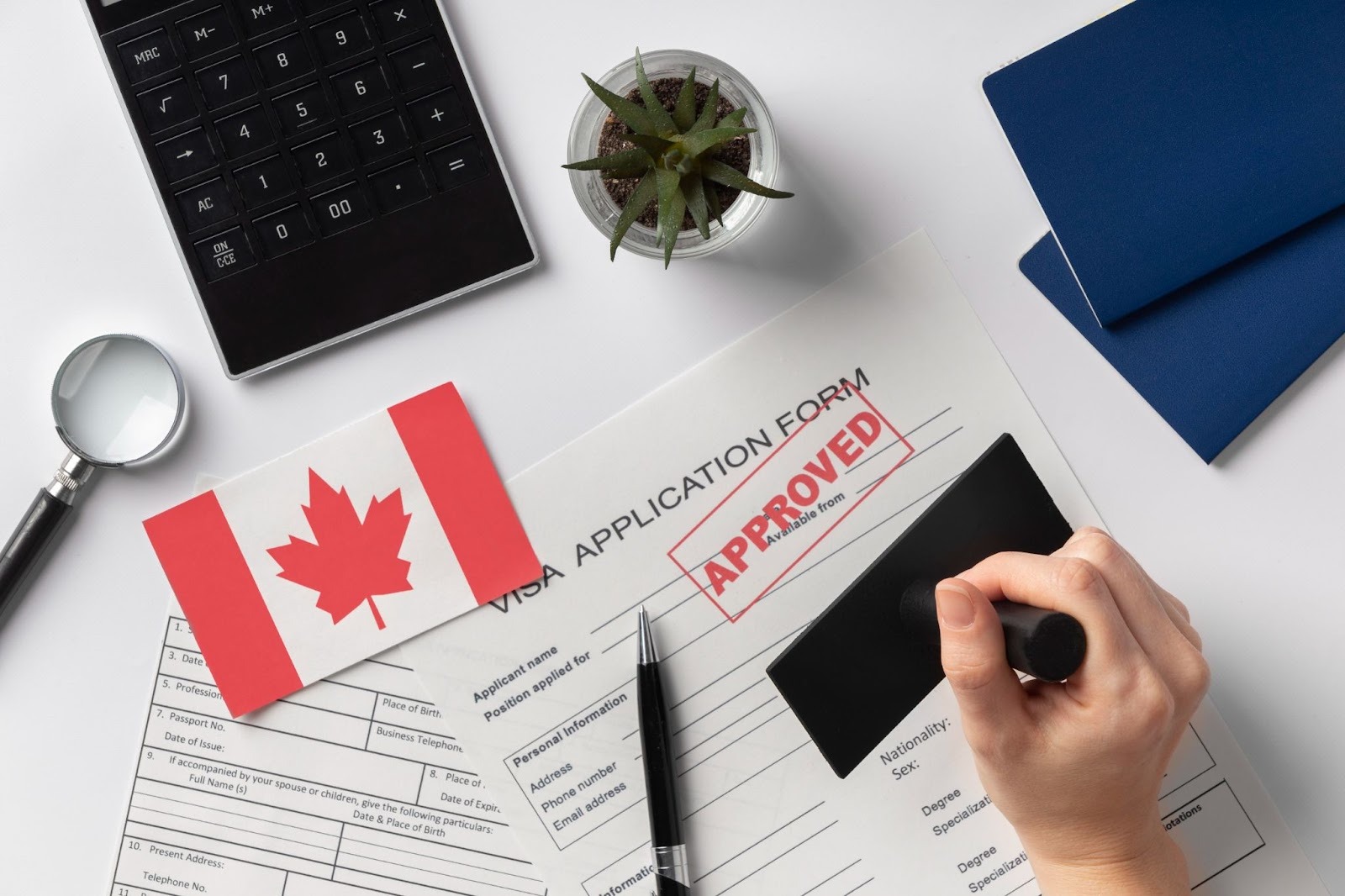 Express Entry Toronto Breakdown: Requirements, Strategy, Timeline