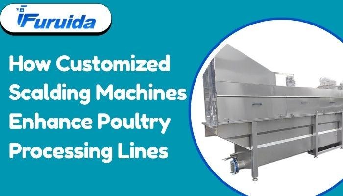 How Customized Scalding Machines Enhance Poultry Processing Lines