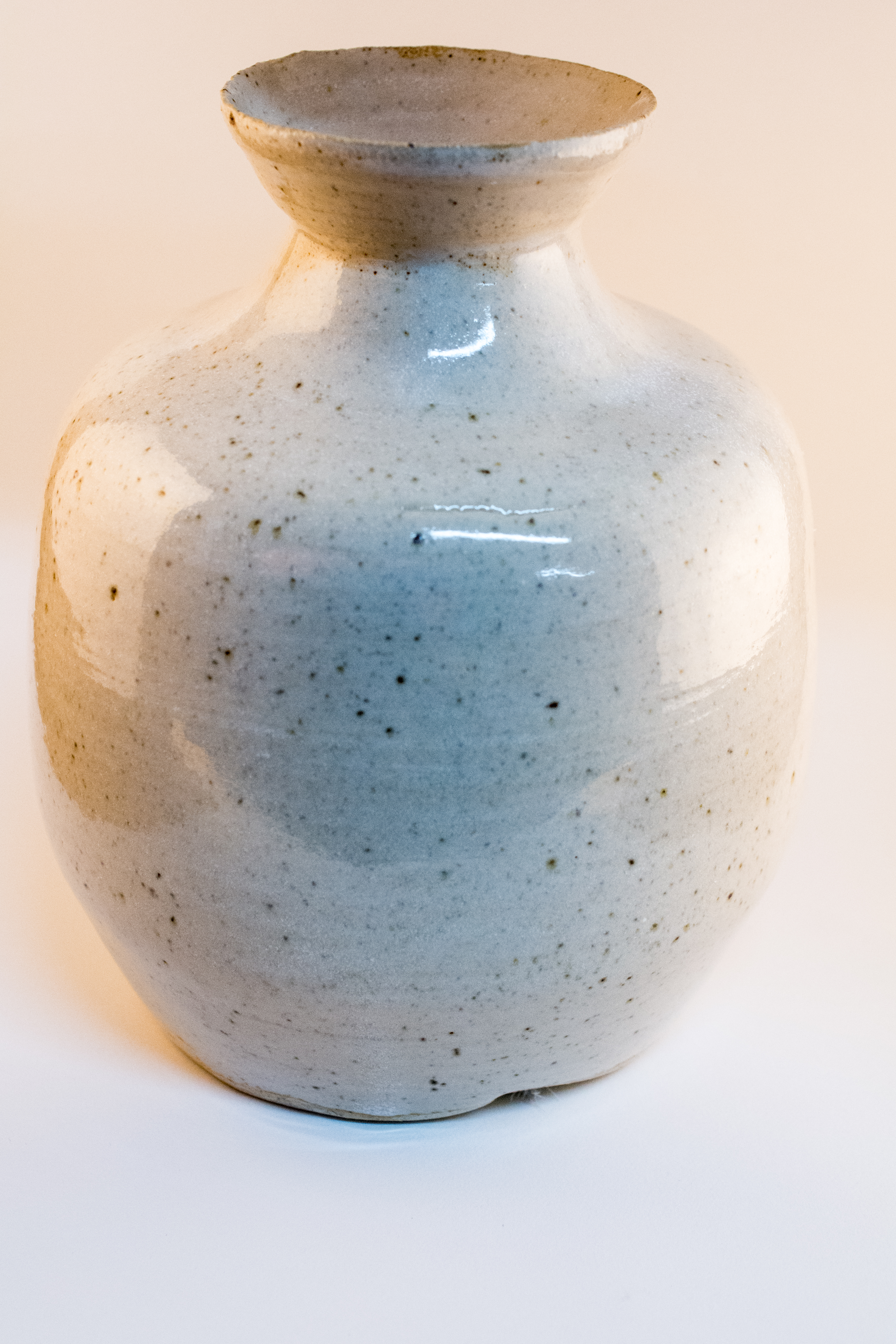 Vase (Cone 10, unknown glaze)