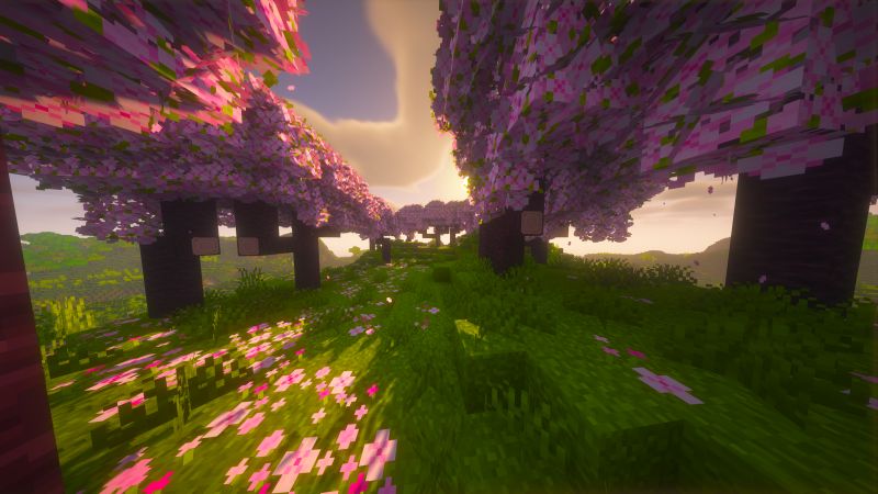 Why Linux Mint Gained Popularity Tectrix Dev - Minimal Backgrounds - Beautiful Ultra HD Collection