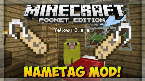 Nametag Mod Mcpe Minecraft Descargas
