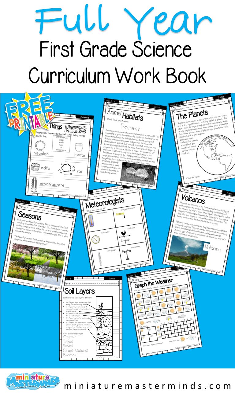 first grade science full year curriculum miniature masterminds