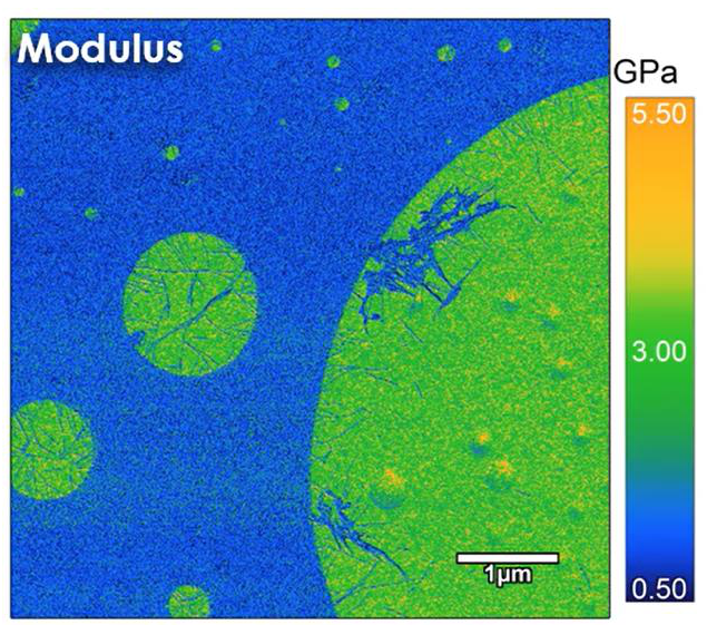 AFM modulus map with a GPa color scale.