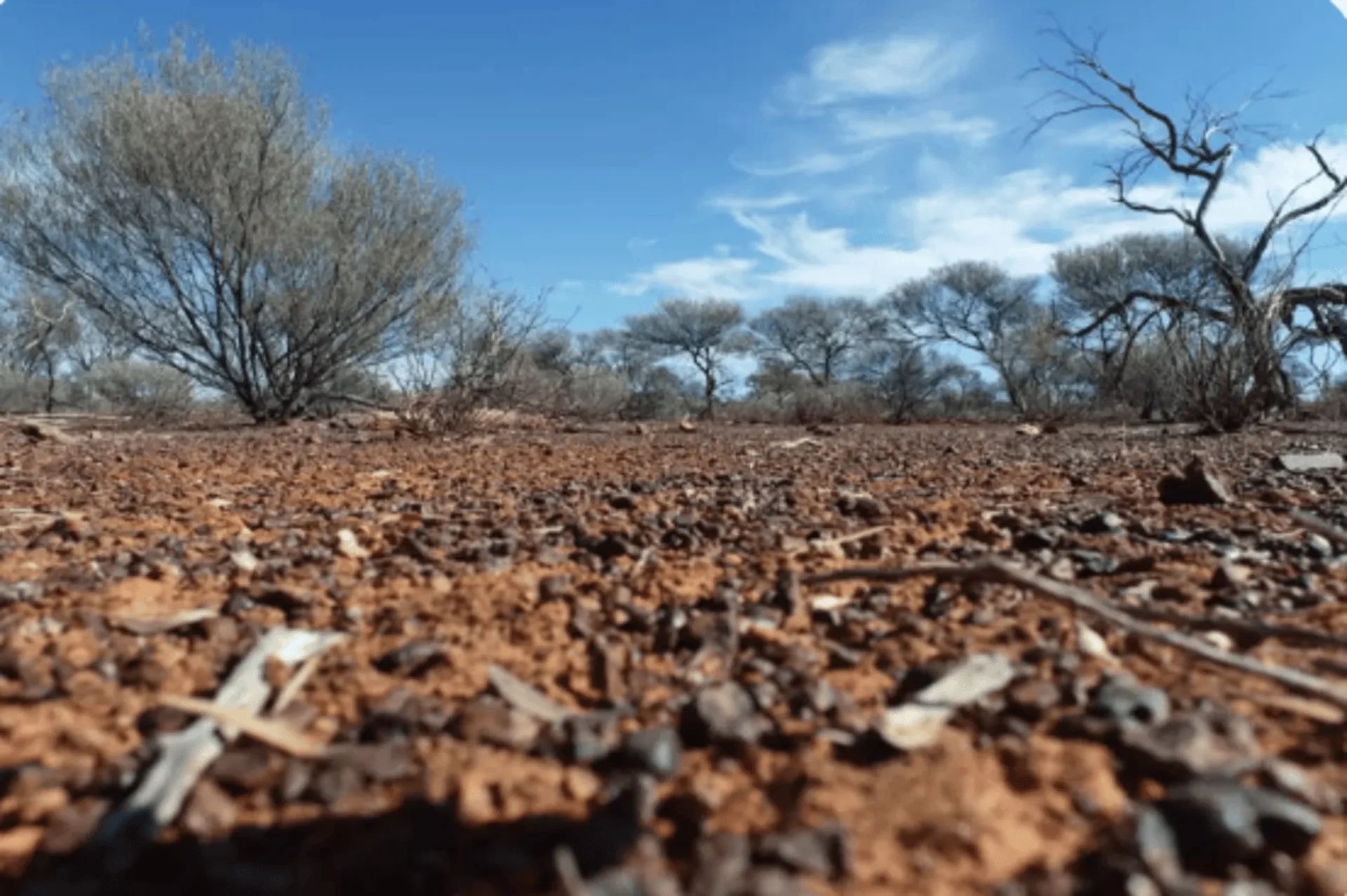 Amec: growing concerns on australia’s decreasing exploration, expenditure