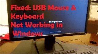 usb keyboard and mouse not working windows 10