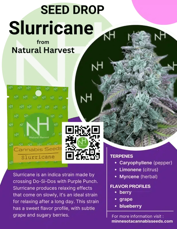 Slurricane seed drop from Natural Harvest