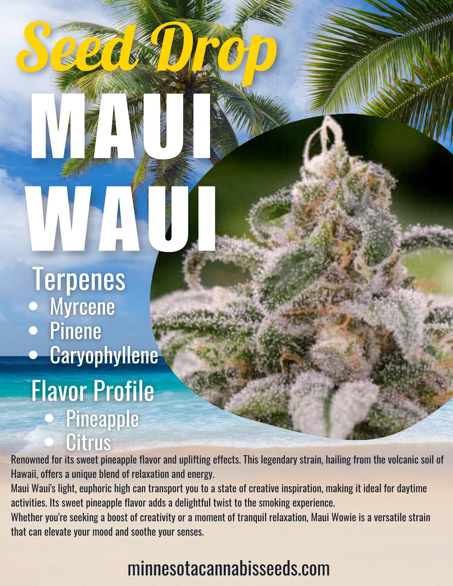 Maui Waui