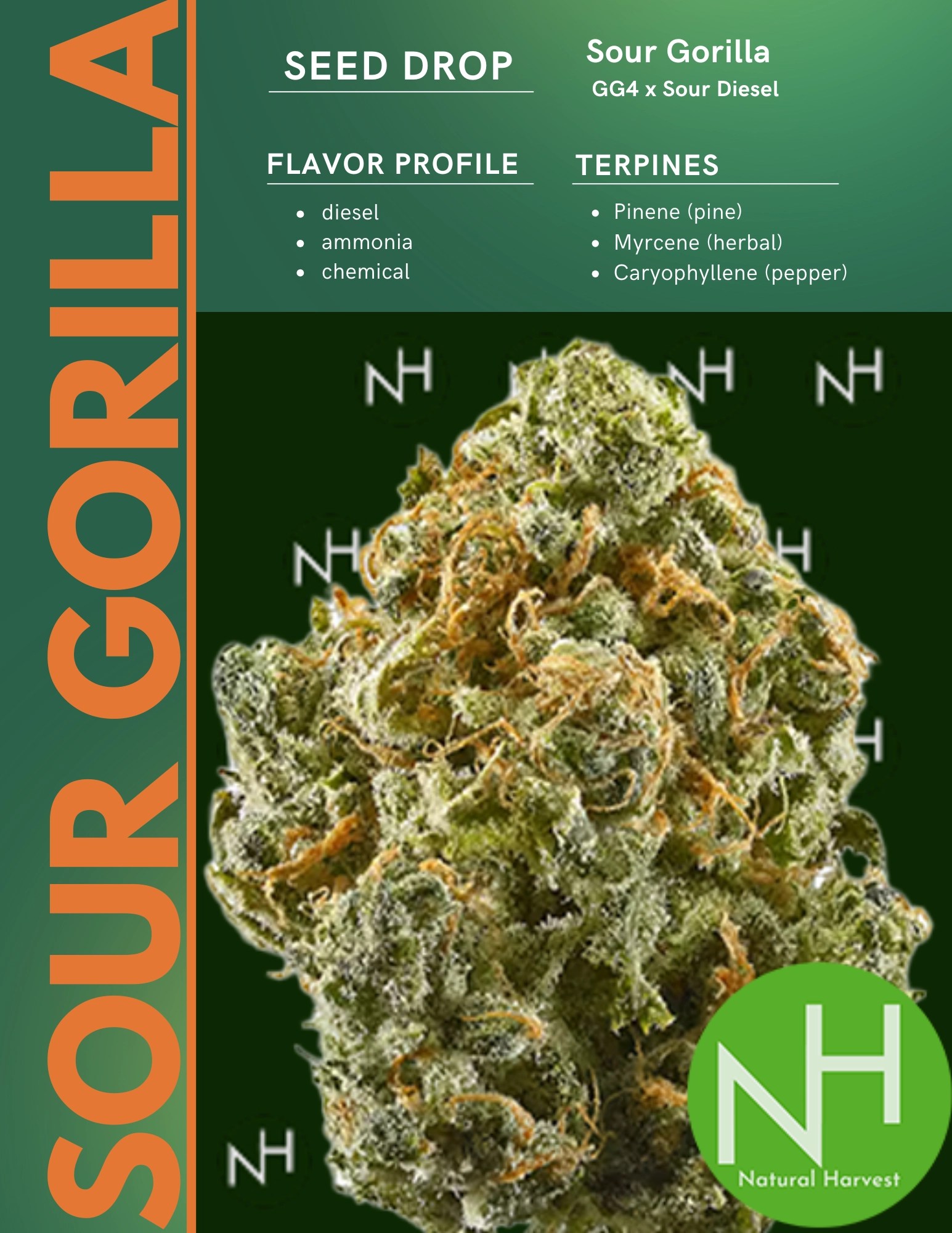 Sour Gorilla Seed Drop
