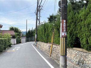 カイズカイブキの生垣