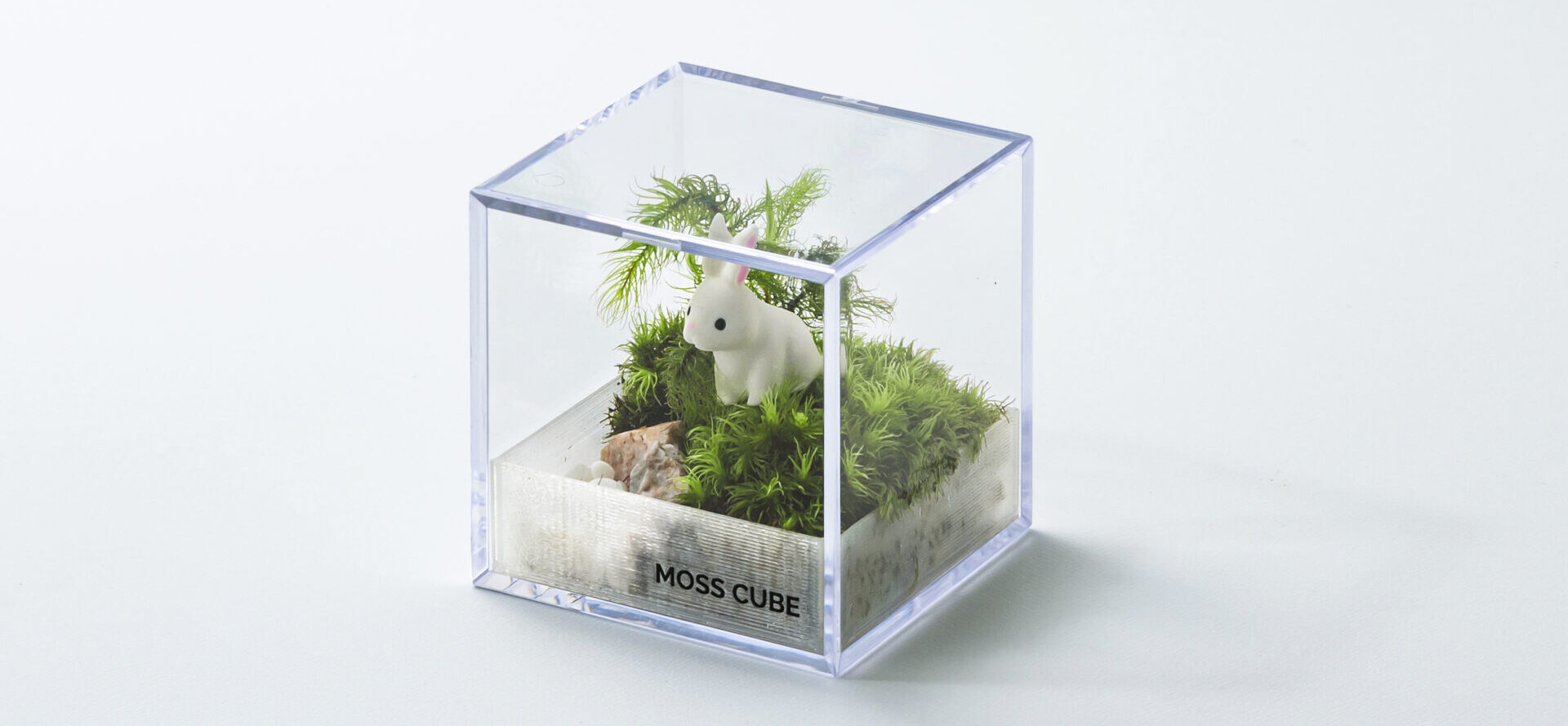 五重塔 プラスチック製 テラリウム用ケース付き モスキューブ®（MOSS CUBE®） | 透明プラスチックケースのミノル