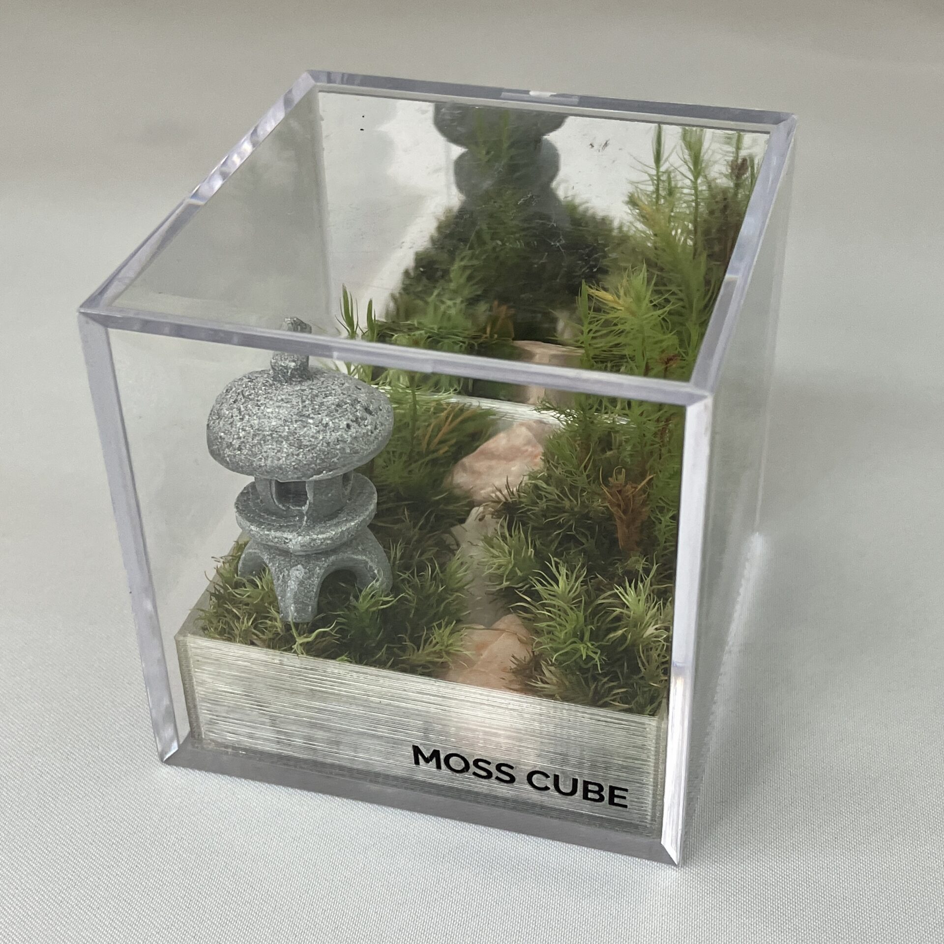 モスキューブ®（MOSS CUBE®） | 透明プラスチックケースのミノル