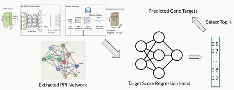 Minsilu Minsi Lu Github - Incredible HD Dark Illustrations | Free Download