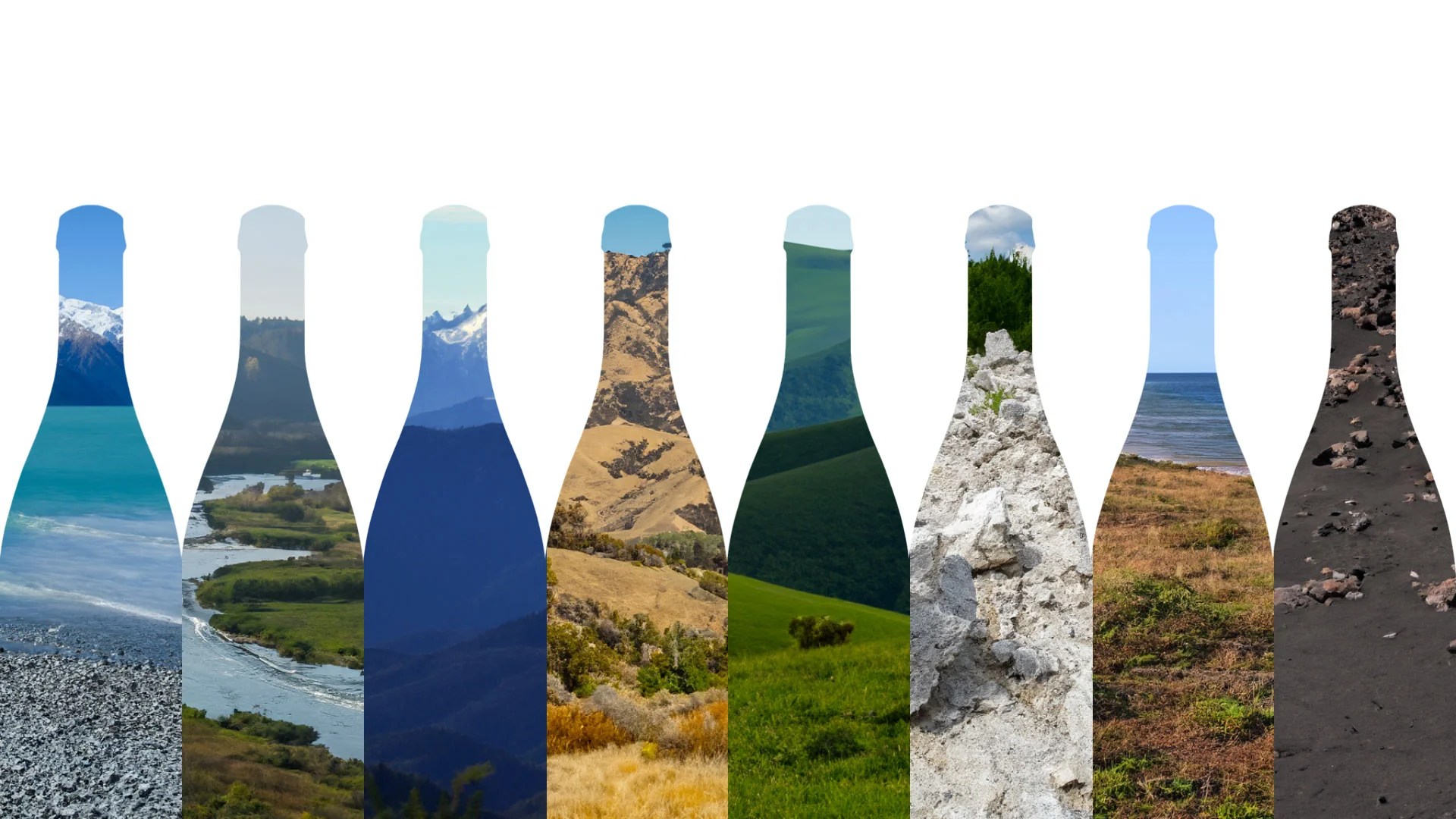 How Does Climate Change Affect Wine Production