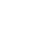100% Internship