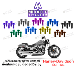 Harley-Davidson Derby Cover Bolts น็อตยึด Derby