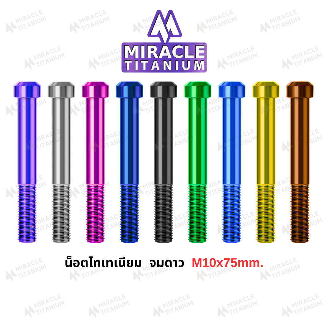 Cylindrical Head หัวจมดาว M10 x 75 mm.