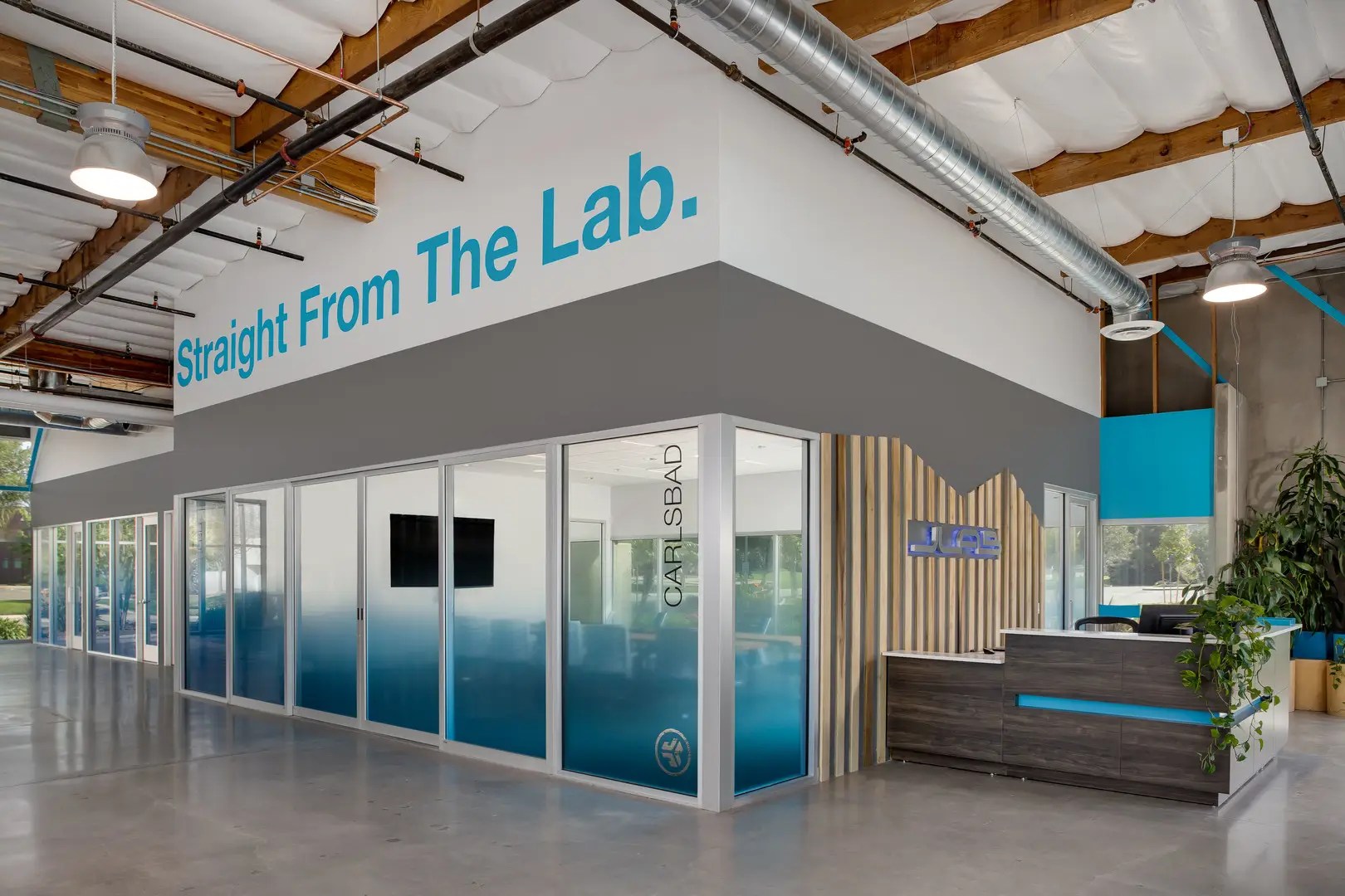 Residential Window Tinting - Commercial Window Tinting