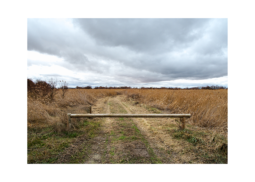 678 km. Mireia Alises